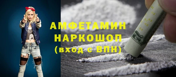 apvp Бородино