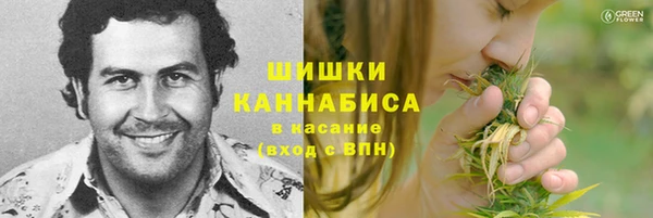 apvp Бородино