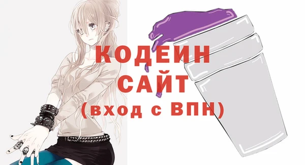 apvp Бородино