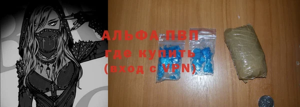 apvp Бородино