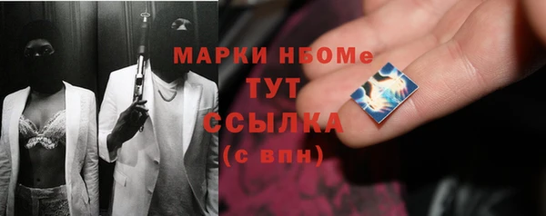 apvp Бородино