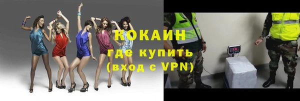 apvp Бородино