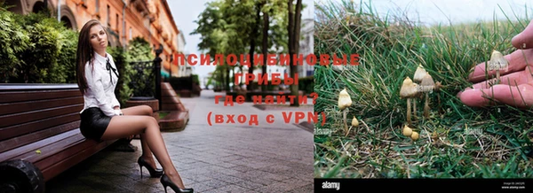 apvp Бородино